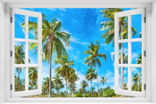 Fototapeta Naklejka Na Ścianę Okno 3D - Panoramic landscape of green tropical forest with many coconut palm trees