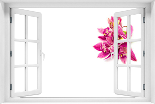 Fototapeta Naklejka Na Ścianę Okno 3D - pink cymbidium orchid isolated on white background