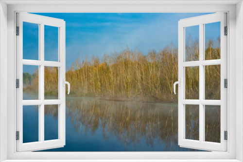 Fototapeta Naklejka Na Ścianę Okno 3D - Deciduous forest on the banks of the river in the mist in the early morning.