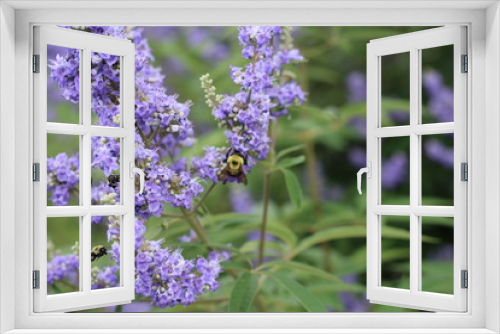 Fototapeta Naklejka Na Ścianę Okno 3D - Spring theme