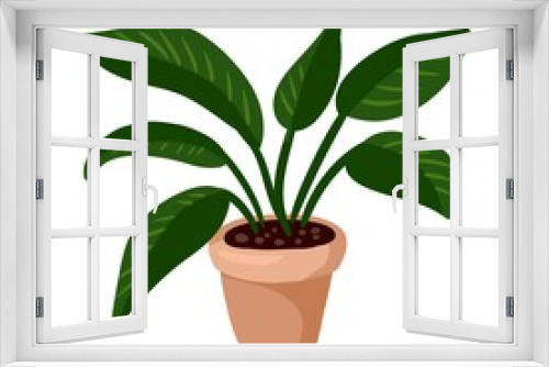 Fototapeta Naklejka Na Ścianę Okno 3D - Hygge potted monstera plant. Cozy lagom scandinavian style plant isolated image