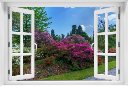 Fototapeta Naklejka Na Ścianę Okno 3D - Beautiful colorful flowers in the garden , Scotland