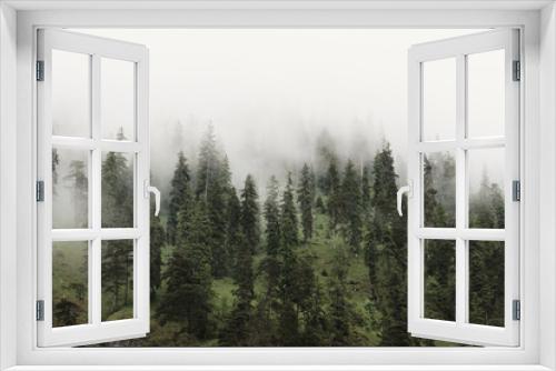 Fototapeta Naklejka Na Ścianę Okno 3D - Berg und Wald im Nebel