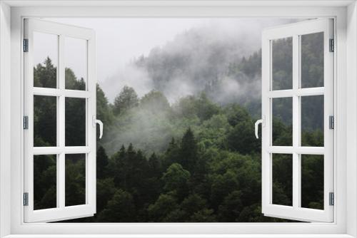 Fototapeta Naklejka Na Ścianę Okno 3D - Berg und Wald in Nebel