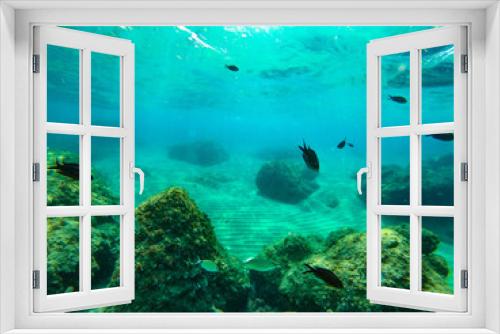 Fototapeta Naklejka Na Ścianę Okno 3D - underwater background and free space for your decoration. 