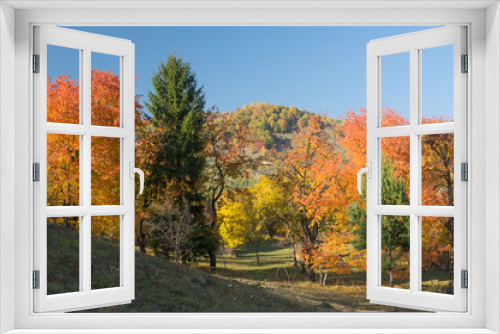Fototapeta Naklejka Na Ścianę Okno 3D - Rural Landscape with Autumn Colors.