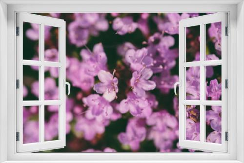 Fototapeta Naklejka Na Ścianę Okno 3D - small pink flowers
