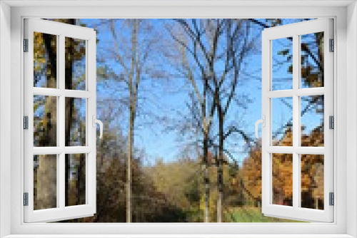 Fototapeta Naklejka Na Ścianę Okno 3D - Park views, Oliver Winery, Indiana