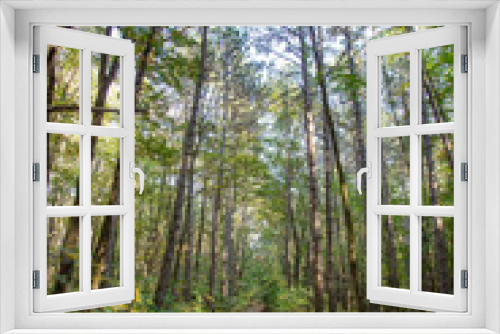 Fototapeta Naklejka Na Ścianę Okno 3D - green forest in spring time