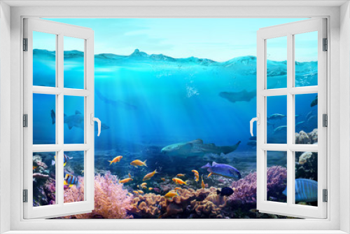 Fototapeta Naklejka Na Ścianę Okno 3D - Tropical coastal waters. Underwater view of the coral reef. Life in the ocean. 
