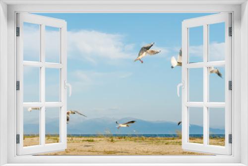Fototapeta Naklejka Na Ścianę Okno 3D - White seagulls fly against the background of blue sky and clouds on a sunny day. birds on the sand by the sea