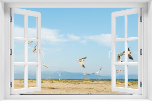 Fototapeta Naklejka Na Ścianę Okno 3D - White seagulls fly against the background of blue sky and clouds on a sunny day. birds on the sand by the sea
