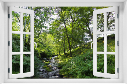 Fototapeta Naklejka Na Ścianę Okno 3D - a hillside stream running over rocks in a small wooded valley surrounded by summer trees in jumble hole clough in west yorkshire