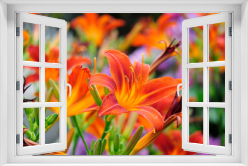 Fototapeta Naklejka Na Ścianę Okno 3D - Lilien