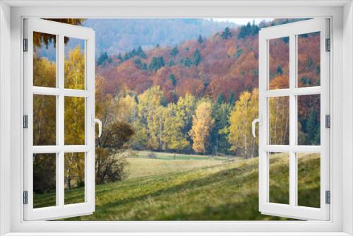 Fototapeta Naklejka Na Ścianę Okno 3D - autumn landscape with trees and blue sky