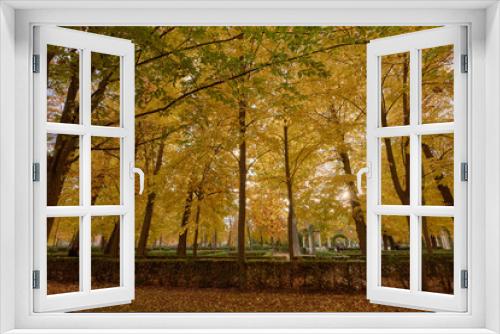 Fototapeta Naklejka Na Ścianę Okno 3D - Trees with brown leaves in the garden of the Parterre in autumn