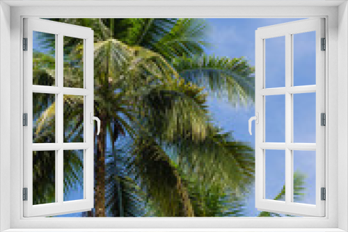 Fototapeta Naklejka Na Ścianę Okno 3D - Coconut Tree and Blue Sky.
