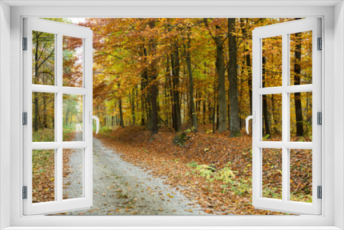 Fototapeta Naklejka Na Ścianę Okno 3D - Road through an yellow autumn forest