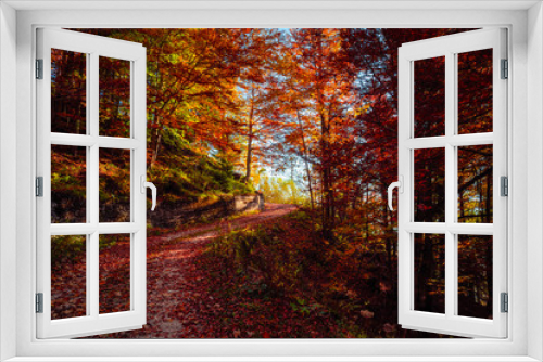 Fototapeta Naklejka Na Ścianę Okno 3D -  Mountain trail covered with red colorful leafs, beautiful Autumn trees landscape picture of in Sella Nevea, Friuli Venezia Giulia Italy.
