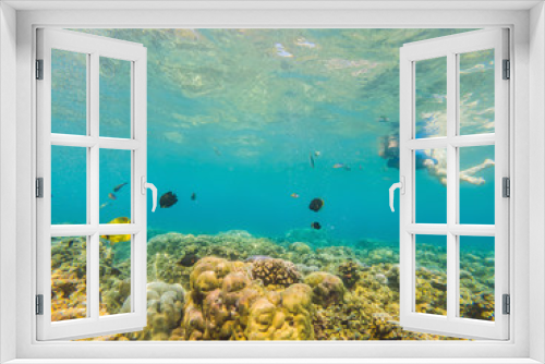 Fototapeta Naklejka Na Ścianę Okno 3D - Happy woman in snorkeling mask dive underwater with tropical fishes in coral reef sea pool. Travel lifestyle, water sport outdoor adventure, swimming lessons on summer beach holiday