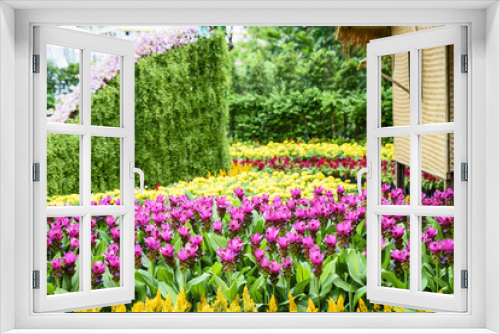 Fototapeta Naklejka Na Ścianę Okno 3D - Various flower gardens.