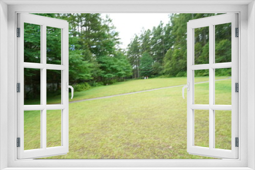 Fototapeta Naklejka Na Ścianę Okno 3D - 戸隠の森
