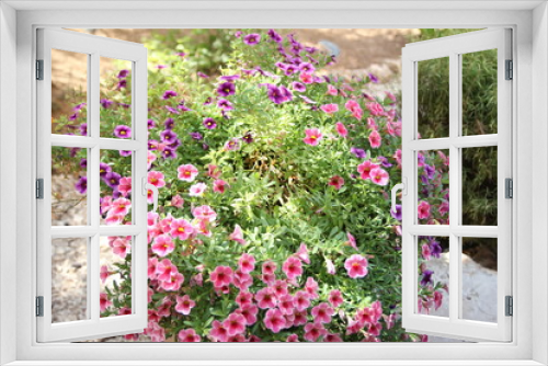 Fototapeta Naklejka Na Ścianę Okno 3D - seeing beautiful flowers will make your day
