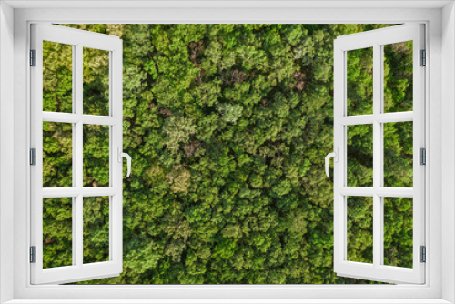 Fototapeta Naklejka Na Ścianę Okno 3D - Aerial top view forest, Texture of forest view from above, drone view