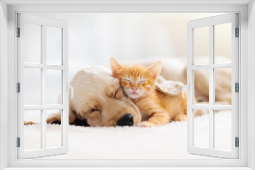 Fototapeta Naklejka Na Ścianę Okno 3D - Cat and dog sleeping. Puppy and kitten sleep.