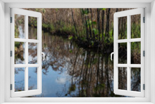 Fototapeta Naklejka Na Ścianę Okno 3D - A drainage canal is seen near the Zapata Swamp near the town of Playa Larga, Cuba