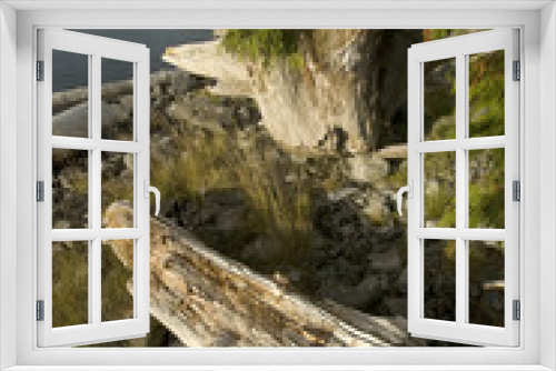 Fototapeta Naklejka Na Ścianę Okno 3D - Keith Island Driftwood, Broken Island Group, Pacific Rim National Park Preserve, British Columbia, Canada, September 2006