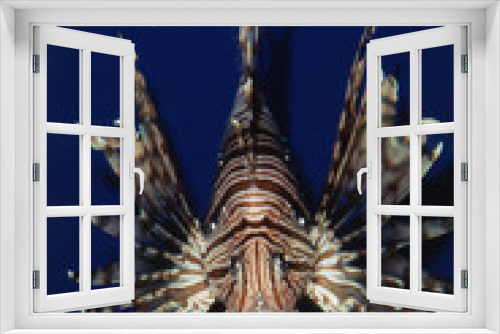 Fototapeta Naklejka Na Ścianę Okno 3D - Monterey Bay Aquarium, Lionfish