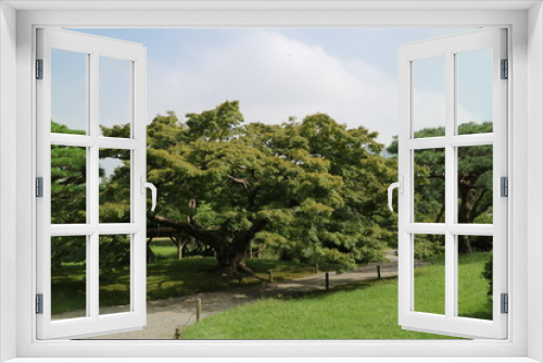 Fototapeta Naklejka Na Ścianę Okno 3D - 都会の日本庭園、東京