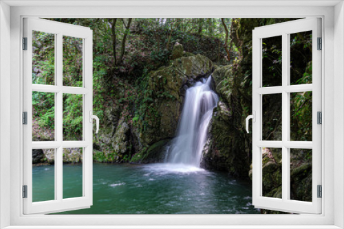 Fototapeta Naklejka Na Ścianę Okno 3D - waterfall in forest - Shizuoka, Japan