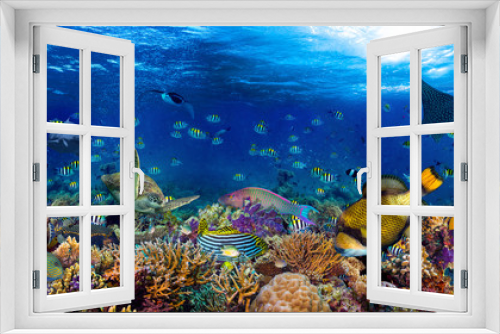 Fototapeta Naklejka Na Ścianę Okno 3D - underwater coral reef landscape wide 2to1 panorama background  in the deep blue ocean with colorful fish sea turtle marine wild life