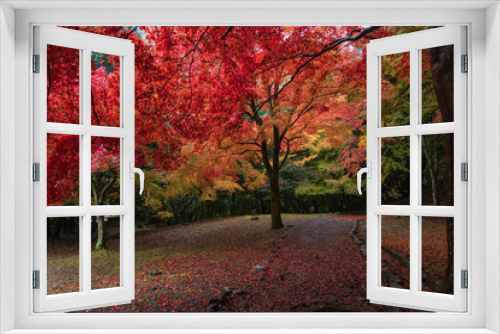 Fototapeta Naklejka Na Ścianę Okno 3D - Refreshing autumn in Kyoto,Japan