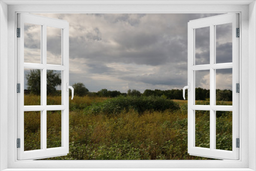 Fototapeta Naklejka Na Ścianę Okno 3D - Summer landscape. Green grass and trees against the blue sky with clouds. Nature.