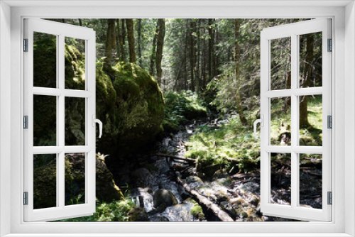 Fototapeta Naklejka Na Ścianę Okno 3D - Rocks in forest