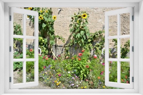 Fototapeta Naklejka Na Ścianę Okno 3D - Summer Flowers