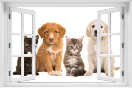 Fototapeta Naklejka Na Ścianę Okno 3D - Group of young pets two sitting puppies and two sitting kittens facing the camera isolated on a white background