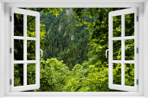 Fototapeta Naklejka Na Ścianę Okno 3D - Green window in the forest