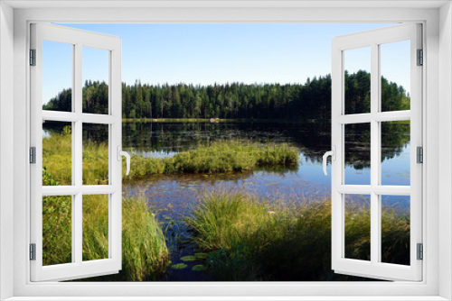 Fototapeta Naklejka Na Ścianę Okno 3D - Forest lake