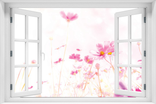 Fototapeta Naklejka Na Ścianę Okno 3D - blurred of cosmos flowers with bokeh in vintage style and soft blur for background