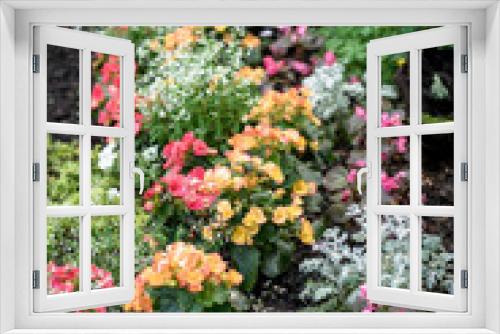 Fototapeta Naklejka Na Ścianę Okno 3D - flower bed