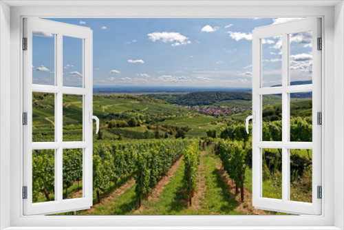 Fototapeta Naklejka Na Ścianę Okno 3D - Vignes d'Alsace