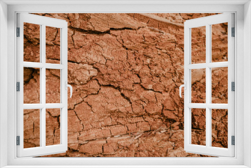 Fototapeta Naklejka Na Ścianę Okno 3D - Old dry rotten tree bark texture background