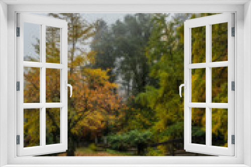 Fototapeta Naklejka Na Ścianę Okno 3D - Peaceful Gardens