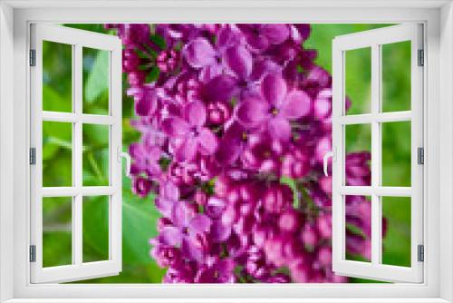 Fototapeta Naklejka Na Ścianę Okno 3D - Racimo de flores