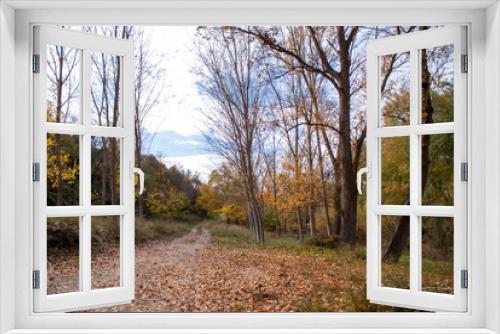 Fototapeta Naklejka Na Ścianę Okno 3D - Arboles en el rio Lucainena en otoño