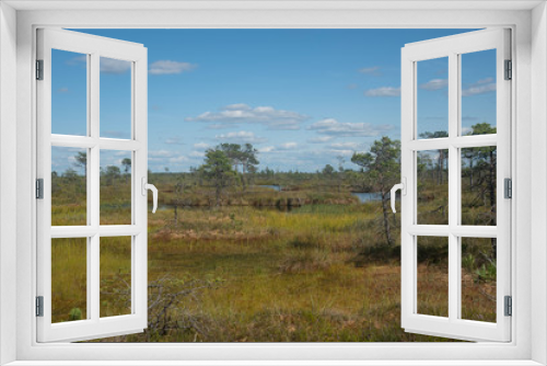 Fototapeta Naklejka Na Ścianę Okno 3D - Lakes of Yelnya swamp - National Landscape Reserve, Belarus